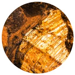 Original Tiger Eye